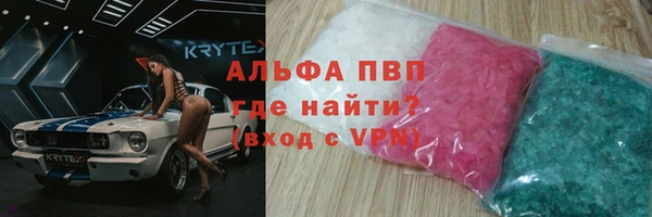 прущие грибы Алзамай