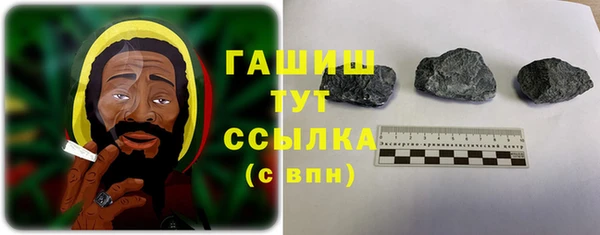 прущие грибы Алзамай