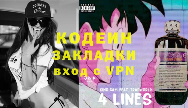 прущие грибы Алзамай