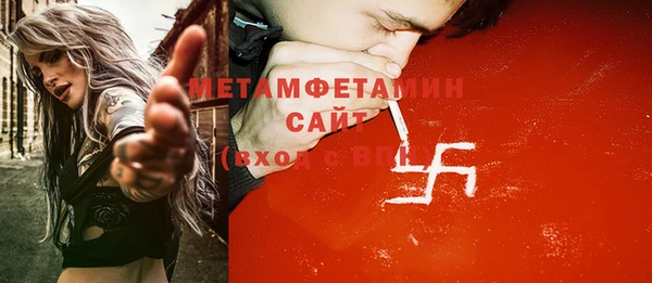 прущие грибы Алзамай