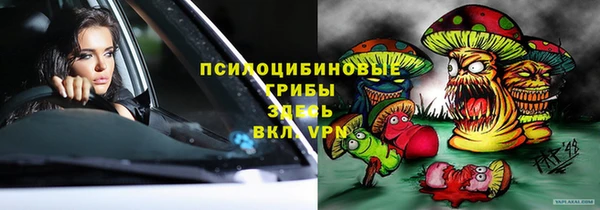 МДПВ Алексин
