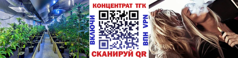 blacksprut вход  Александровское  ТГК THC oil 