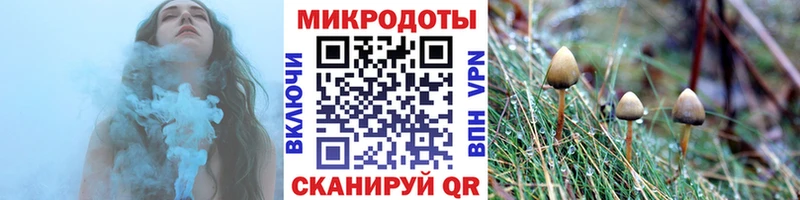 Псилоцибиновые грибы ЛСД Александровское